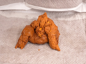 汗っかき美女大量排泄　餅田ササピリカ　サンプル画像08